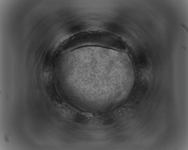 X0000095670920200801221201