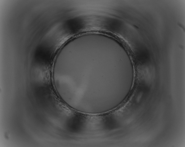 X0000095670921200801221201