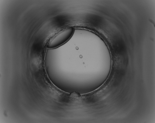 X0000095670922200801221201