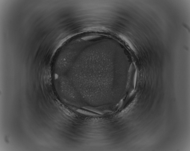 X0000095670923200801221201