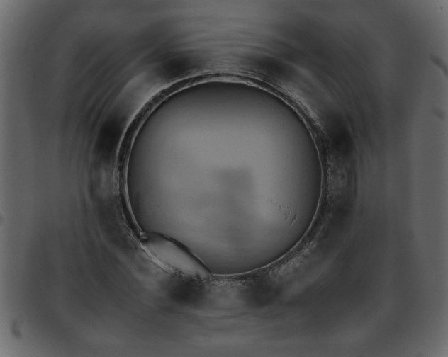 X0000095670924200801221201