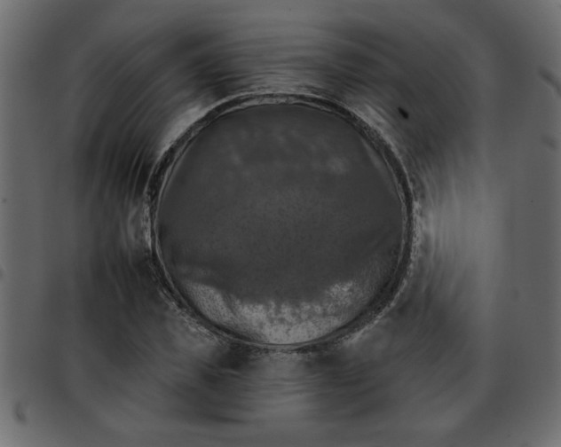 X0000095670925200801221201