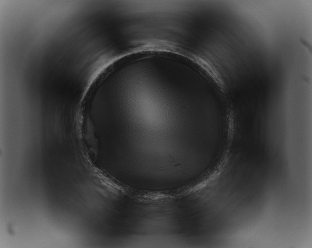 X0000095670926200801221201