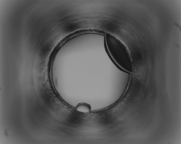 X0000095670927200801221201