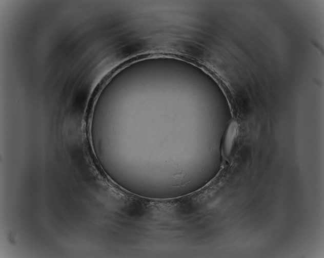 X0000095670928200801221201