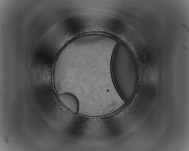 X0000095670929200801221201