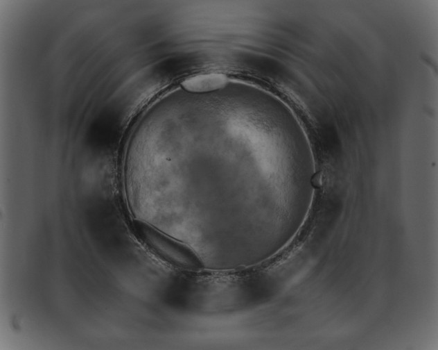 X0000095670930200801221201