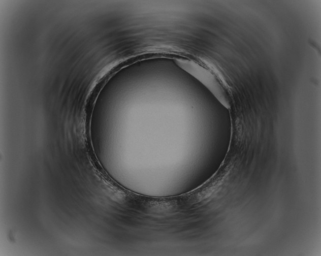 X0000095670931200801221201