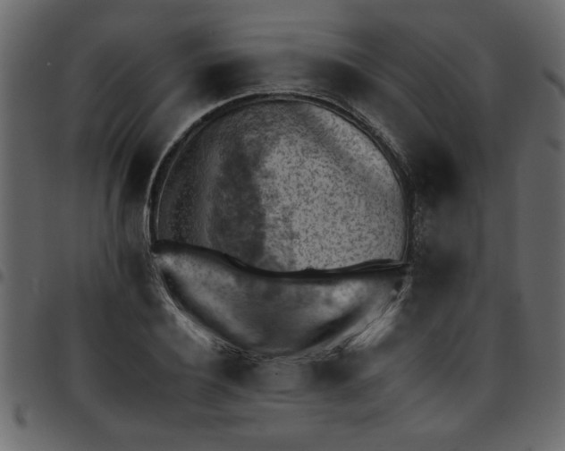 X0000095670932200801221201