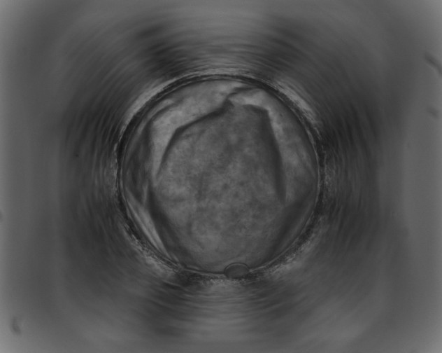 X0000095670933200801221201