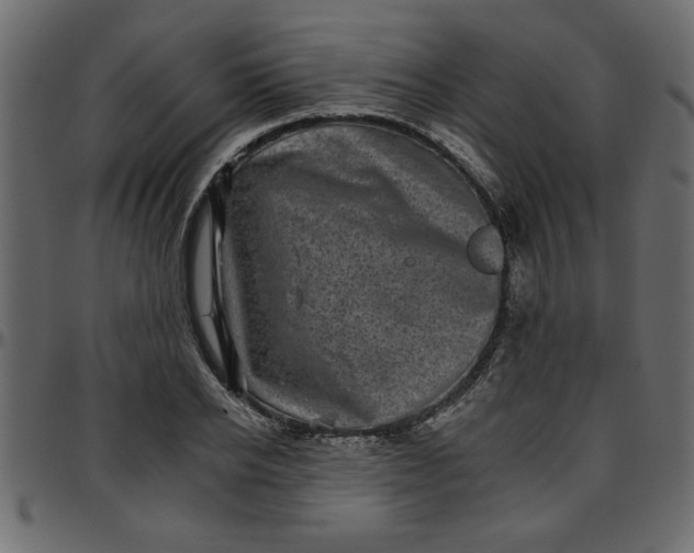 X0000095670934200801221201