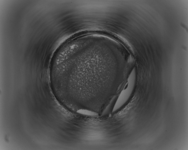 X0000095670935200801221201