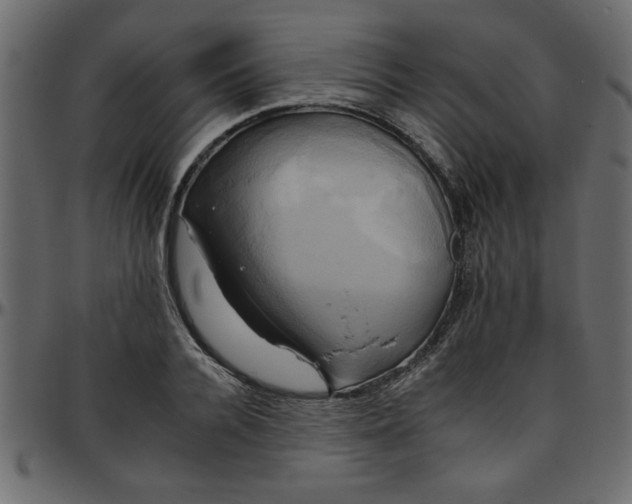 X0000095670936200801221201