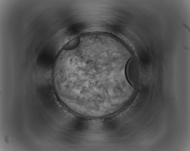 X0000095670937200801221201