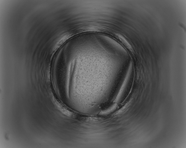 X0000095670938200801221201