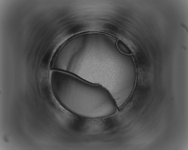 X0000095670939200801221201