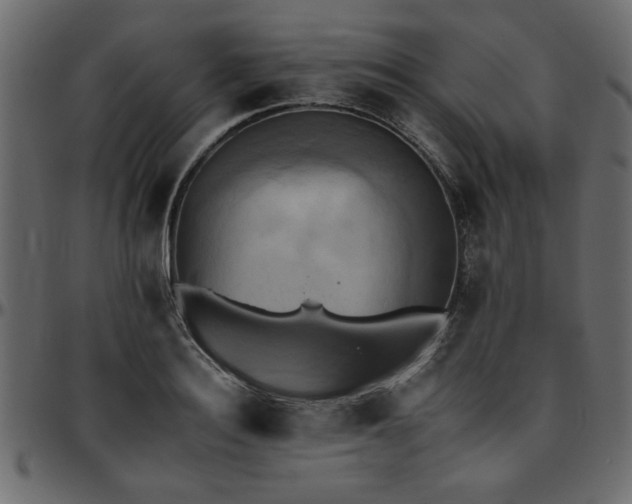 X0000095670940200801221201