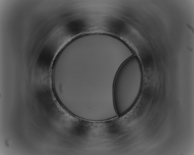 X0000095670941200801221201