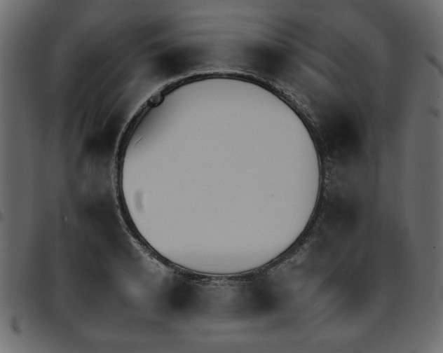 X0000095670942200801221201