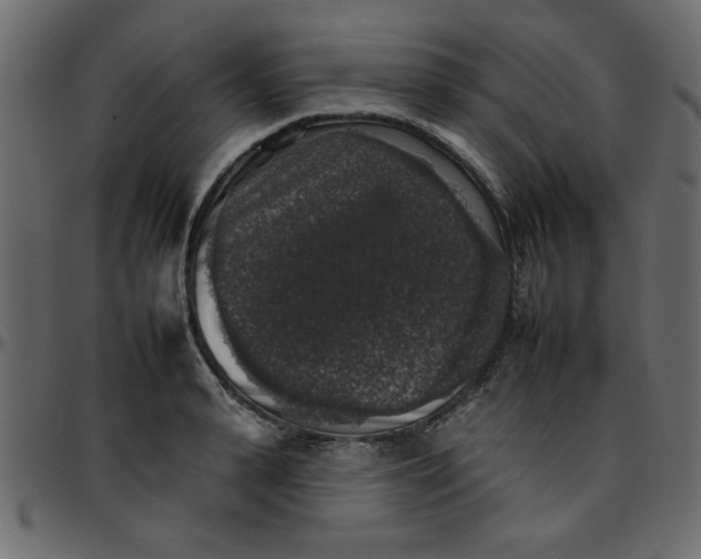 X0000095670943200801221201