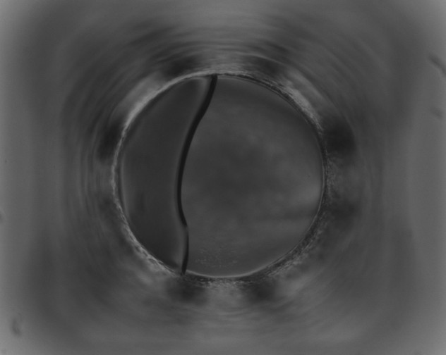 X0000095670944200801221201