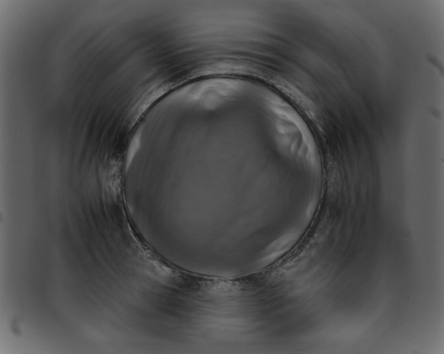 X0000095670945200801221201