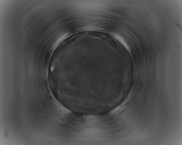 X0000095670946200801221201