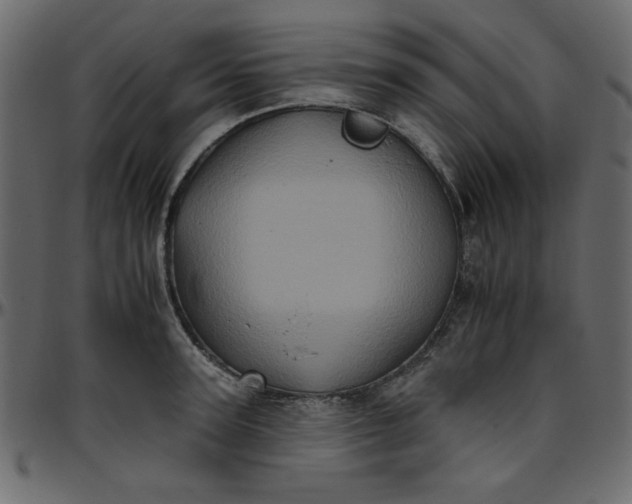 X0000095670947200801221201