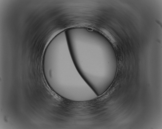 X0000095670948200801221201