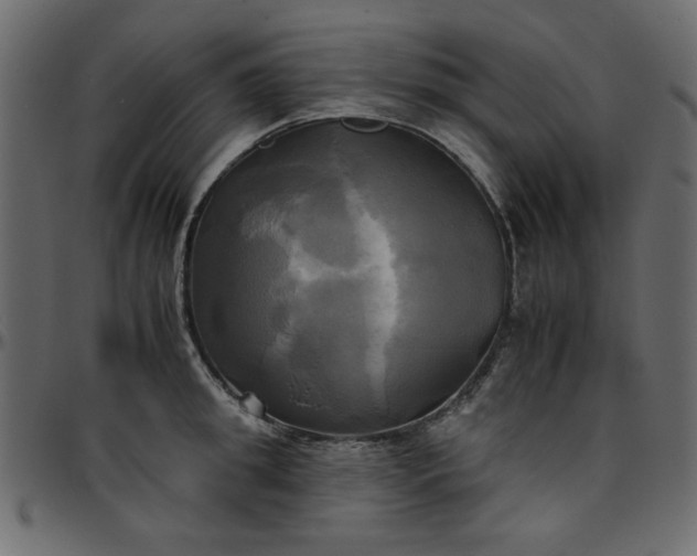 X0000095670949200801221201