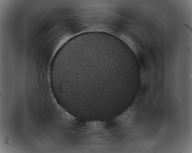 X0000095670950200801221201