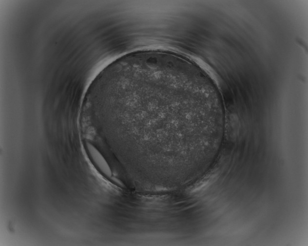 X0000095670951200801221201