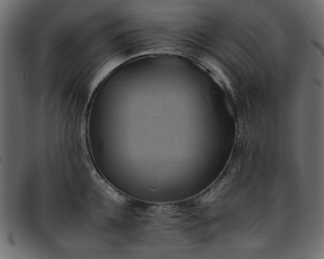 X0000095670952200801221201