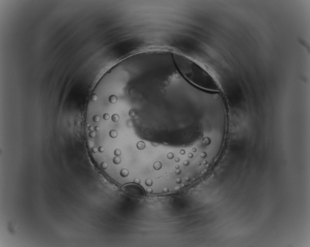 X0000095670953200801221201