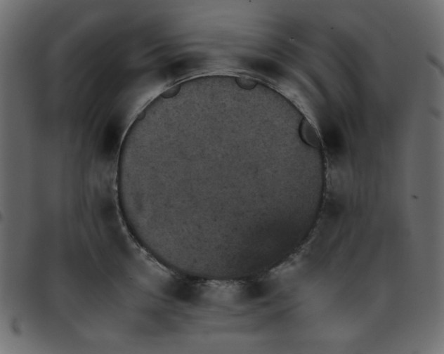 X0000095670954200801221201