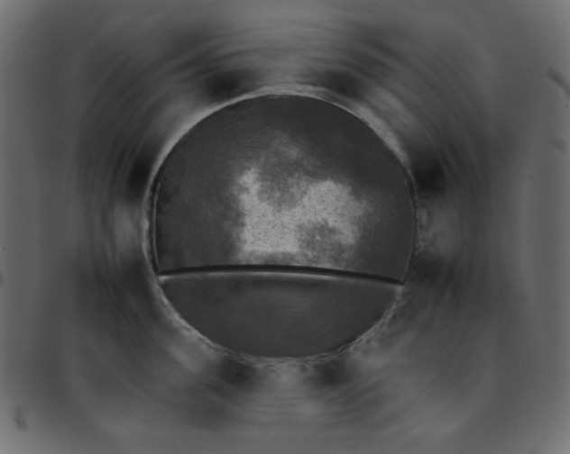 X0000095670955200801221201