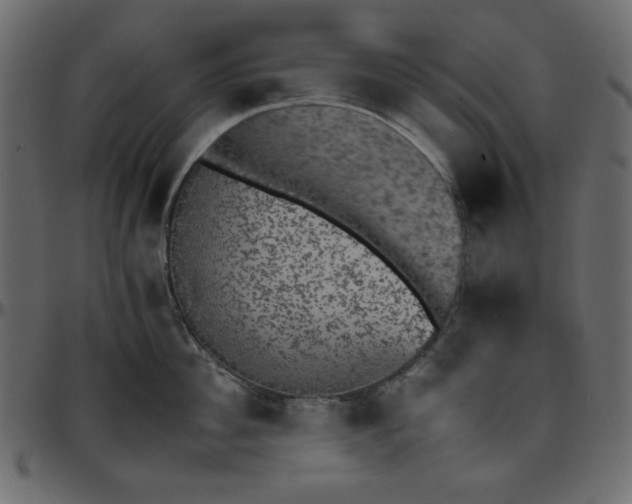 X0000095670956200801221201