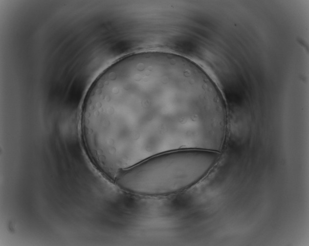 X0000095670957200801221201