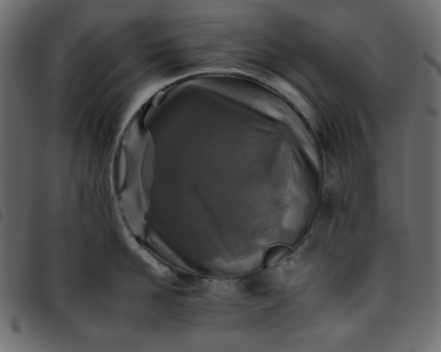 X0000095670958200801221201