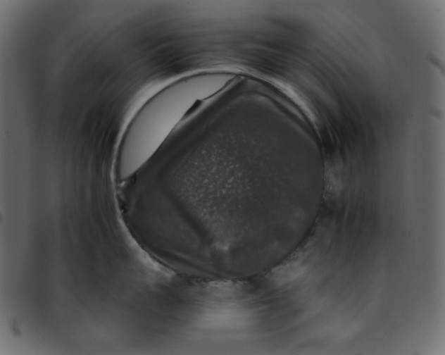 X0000095670959200801221201