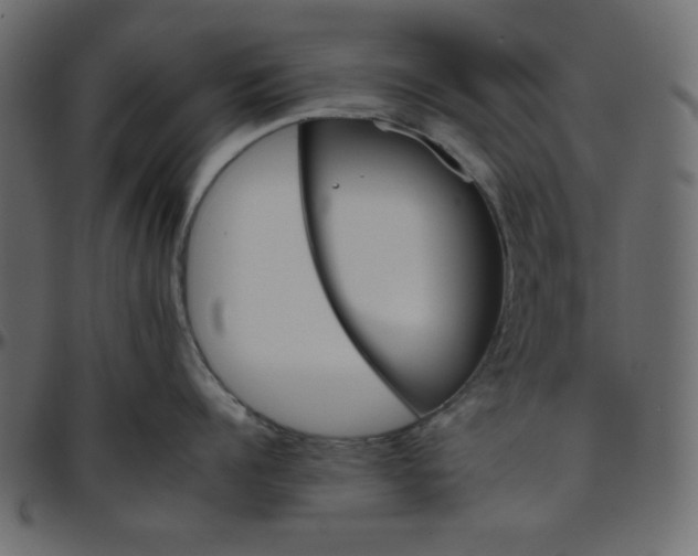 X0000095670960200801221201