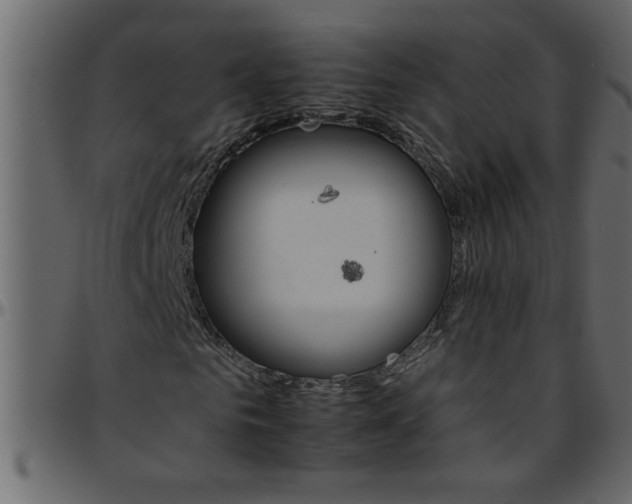 X0000095670961200801221201