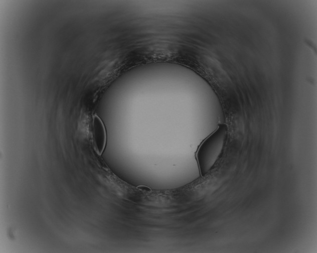 X0000095670962200801221201