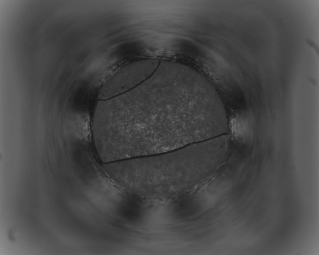 X0000095670963200801221201