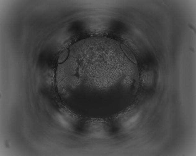 X0000095670964200801221201