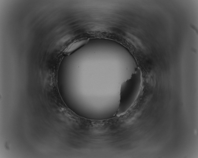 X0000095670965200801221201