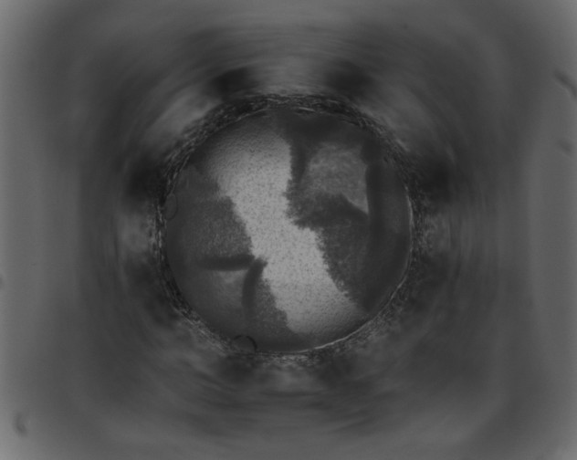 X0000095670966200801221201