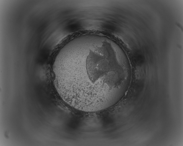 X0000095670968200801221201