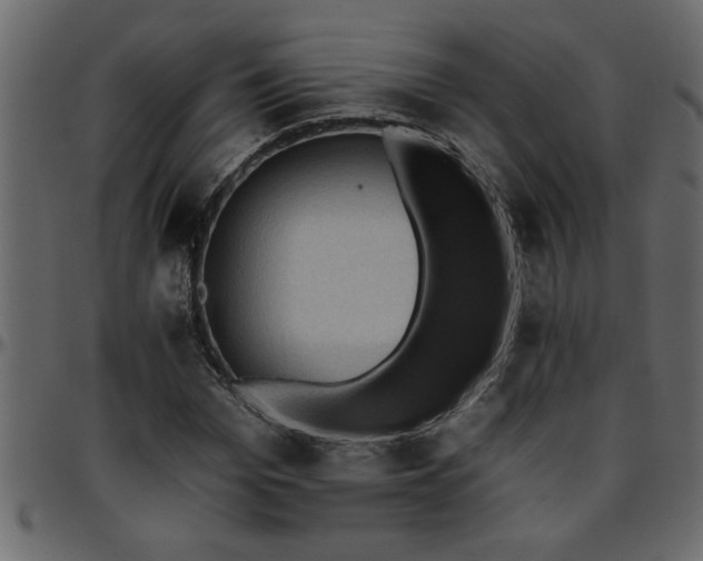 X0000095670969200801221201