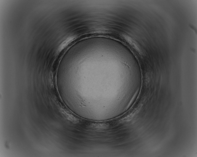 X0000095670970200801221201